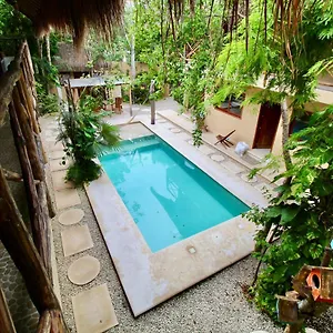 la-selva-apartments-tulum.allrivieramayahotels.com/