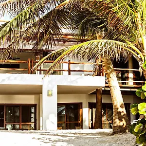 https://casa-carolina-tulum.tulum-hotels.net